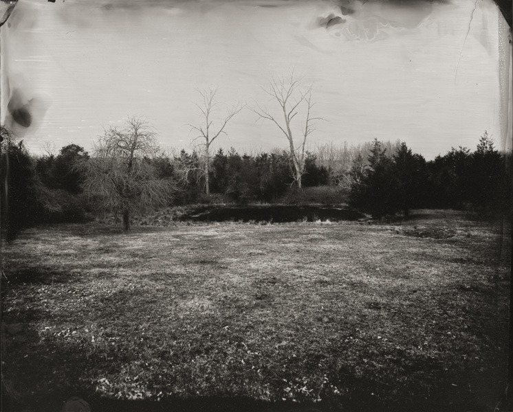Field, Connecticut 2010, 8x10" tintype