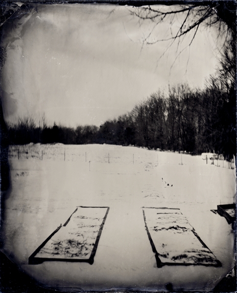 Winter Beds, Connecticut, 2005, 5x4" Ambrotype