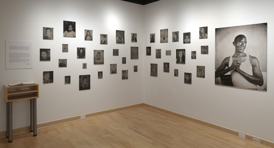 [Hyphen]-Americans, installation view, Palitz Gallery, New York, NY, 2011