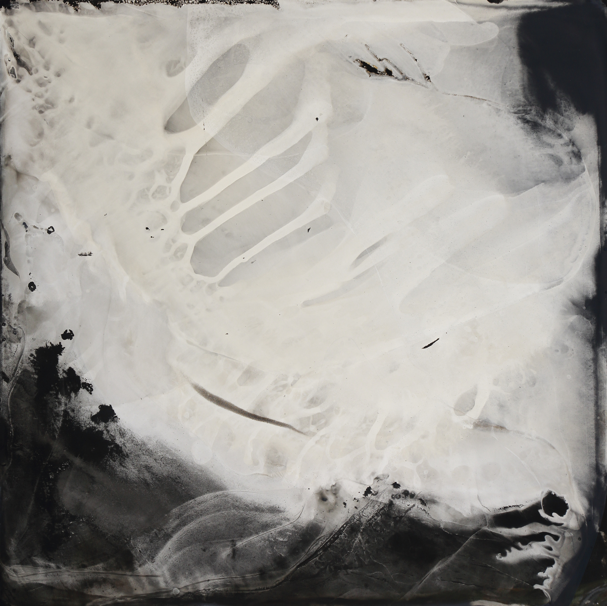 5:35 PM, Nov 18, 2015. Collodion tintype, 24x24 inches.