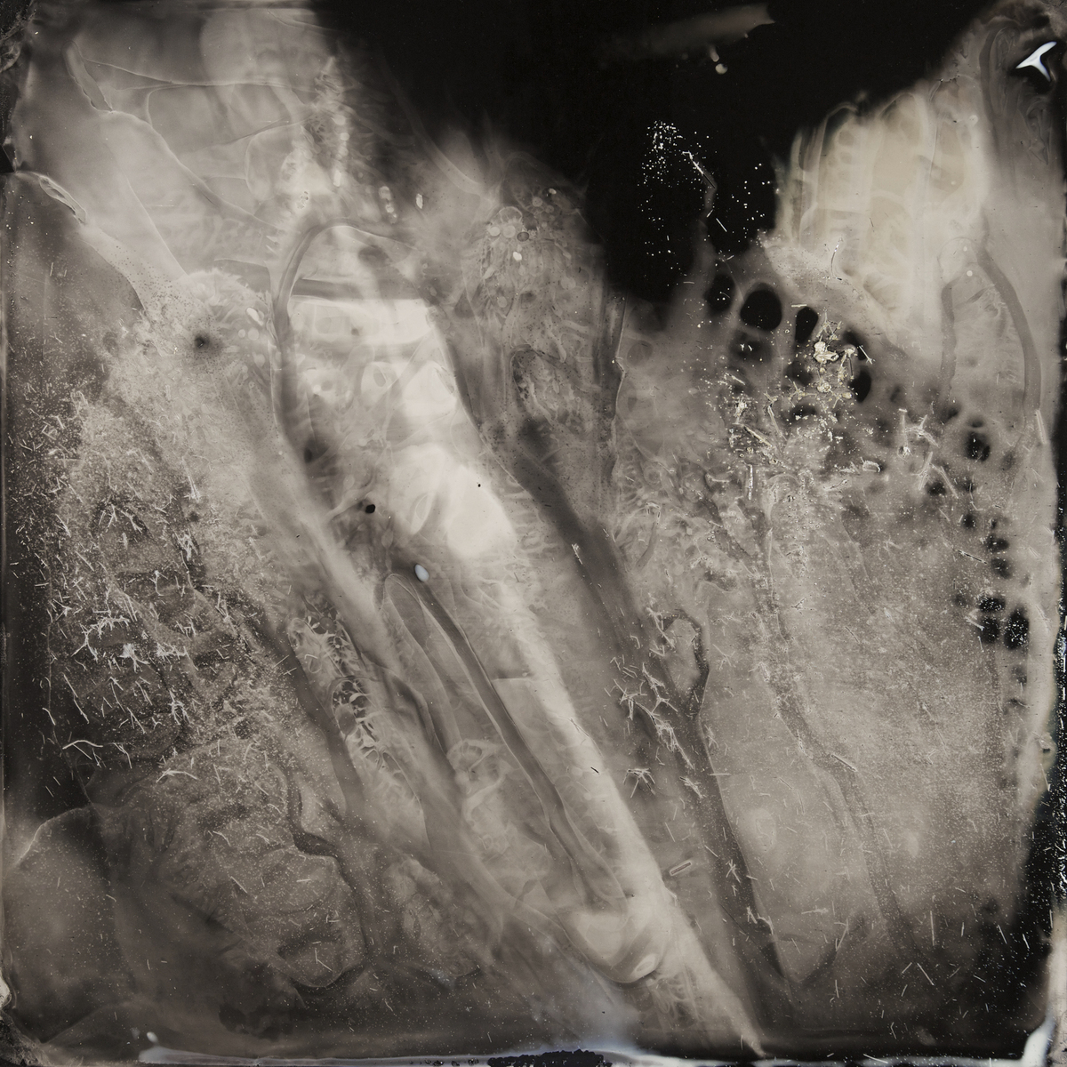 11:45 PM, March 12, 2015. Collodion tintype, 14x14 inches.