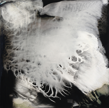 12:07 AM, November 14, 2015. Collodion tintype, 24x24 inches.