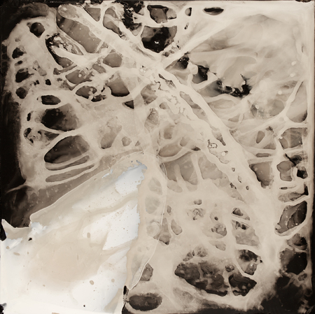 4:48 PM, November 6, 2015. Collodion tintype, 14x14 inches.