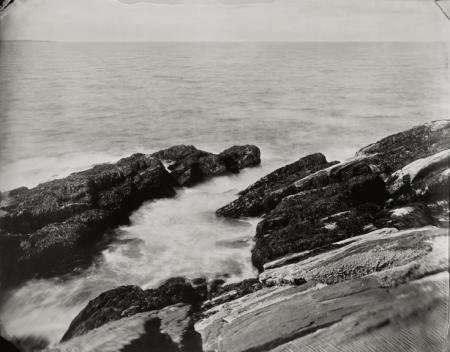 On a Wet Bough with print of  Winslow Homer's Ocean View, 2012 || Limited to 20 copies || 8x10 inch image on 11x14 inch paper || $200 including shipping